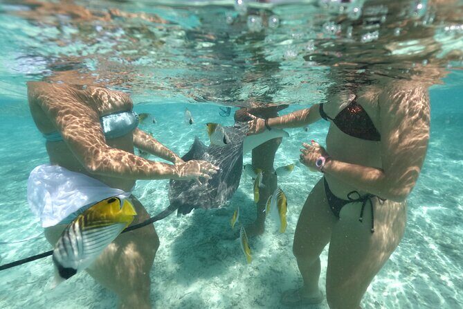 Exceptional Half day on the turquoise lagoon of Bora Bora - Who Is This Tour Best For?