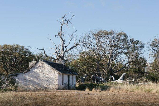 Exceptional Port Lincoln, Seafood and Wildlife Tour - FAQ