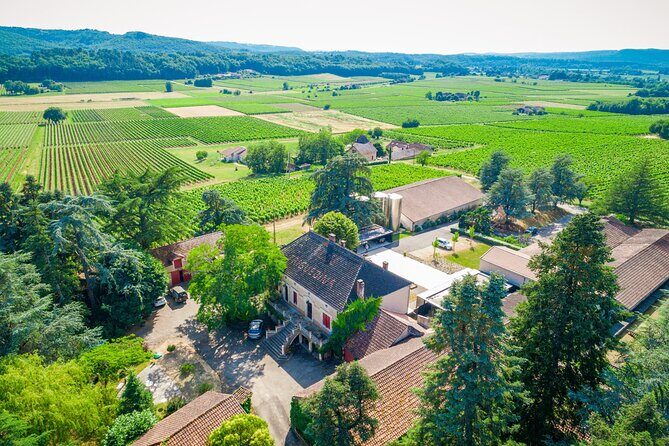 Exceptional visit and tasting of 7 wines - An In-Depth Look at the Tour Experience