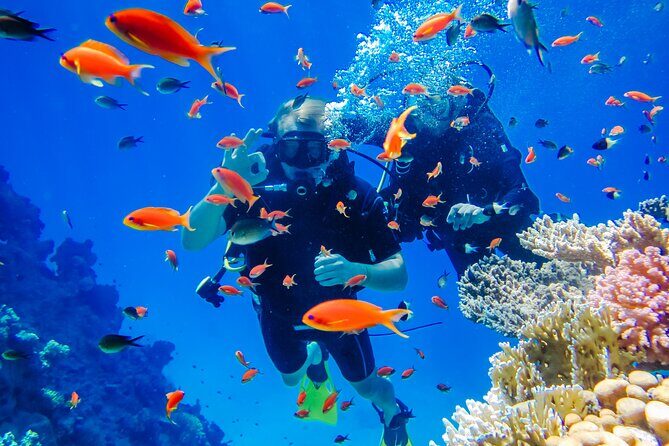Exciteful Scuba Diving Experience in Antalya - Discovering Antalyas Underwater Charm