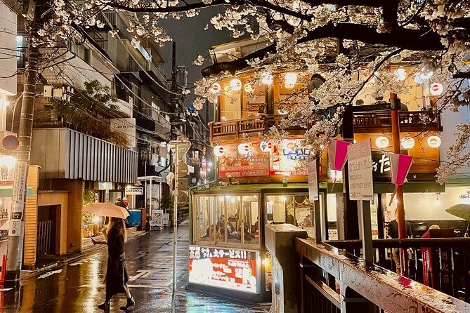 Exciting Evening of Eats in Tokyo - Who Should Consider This Tour?