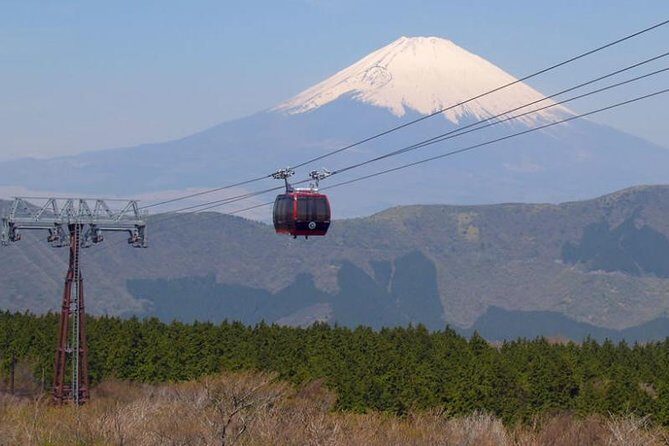 Exciting Hakone - One Day Tour from Tokyo - The Value of This Tour