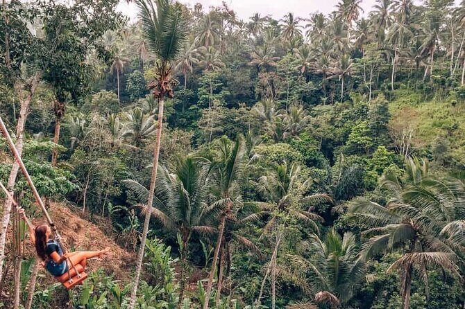 Exciting White Water Rafting and Swing at Tegallalang Rice Terrace Package - The Itinerary in Detail