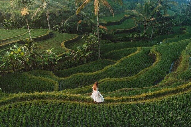 Exciting White Water Rafting and Swing at Tegallalang Rice Terrace Package - FAQ