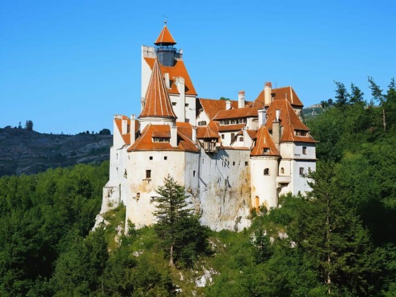 Exclusiv Dracula Bran Castle Day trip - only 6-7 hours - What Makes This Tour Special