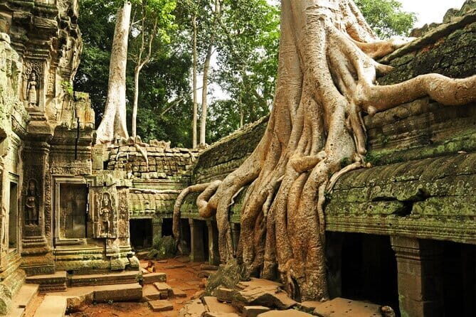 Exclusive Angkor temples and Small group temples tours - Exploring the Hidden Gems of Angkor: A Small Group Tour Review