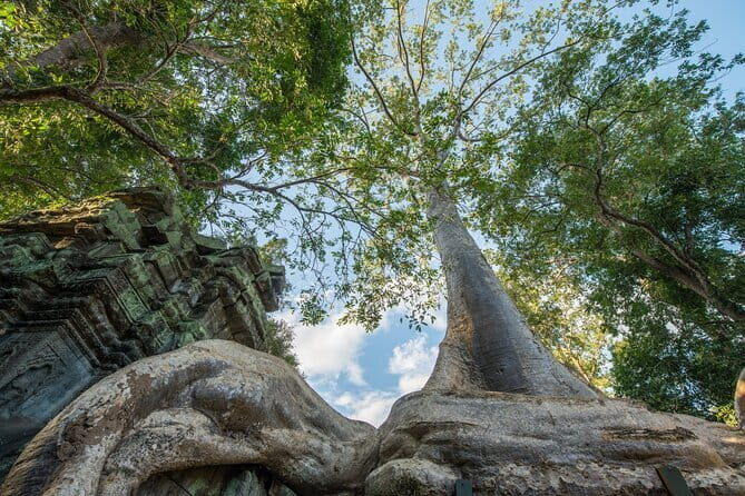 Exclusive Angkor temples and Small group temples tours - Key Points
