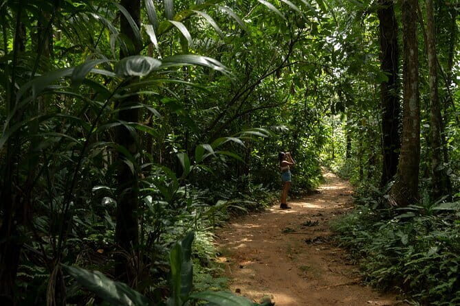 Exclusive Bird watching Private Tour With Accomodation - What to Expect from the Experience