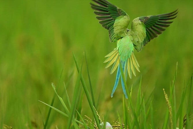 Exclusive Bird watching Private Tour With Accomodation - Who Will Love This Tour?
