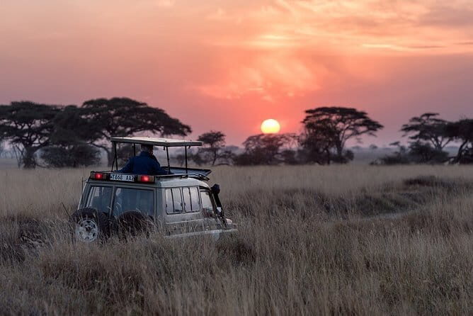 Exclusive Bird watching Private Tour With Accomodation - FAQs