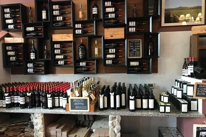 Exclusive Bolgheri from Florence: The Land of the Super Tuscan - Who Is This Tour Best Suited For?