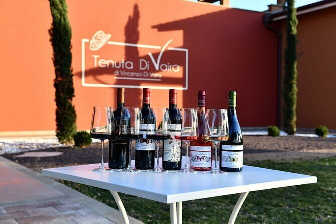 Exclusive Bolgheri from Florence: The Land of the Super Tuscan - An In-Depth Look at the Bolgheri Private Wine Tour