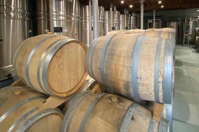 Exclusive Champagne Cellars & Dom Perignon Vineyards tour - The Experience: What Travellers Say