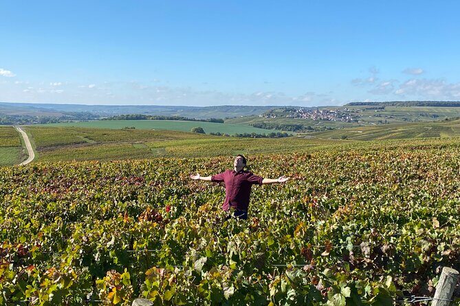 Exclusive Champagne Cellars & Dom Perignon Vineyards tour - Practical Considerations