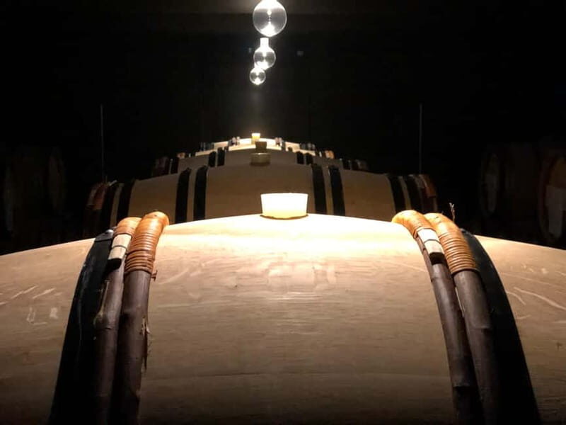 Exclusive Champagne tour: 2 family houses and restaurant - Key Points