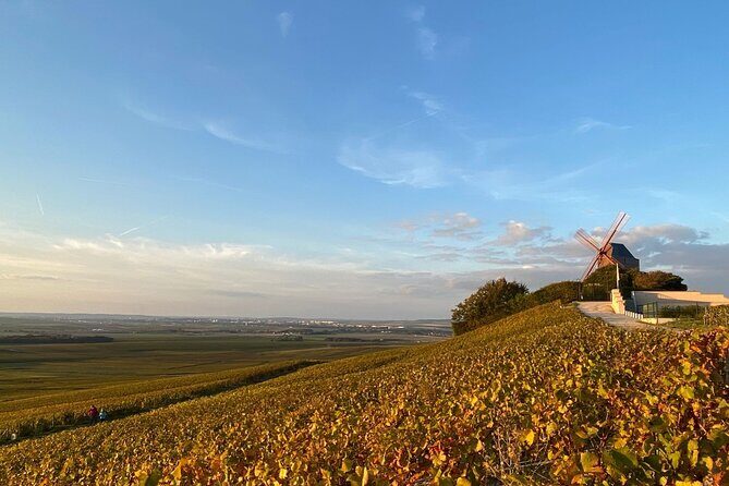 Exclusive Champagne Tour ( All included ): 2 Famous houses & restaurant - Who Is This Tour Best For?