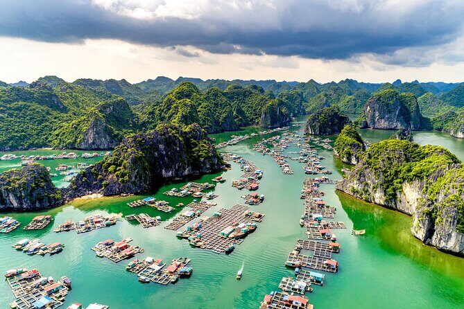 Exclusive Charter Seaplane Tour: Halong Bay's Premier Highlights - Who Is This Tour Perfect For?