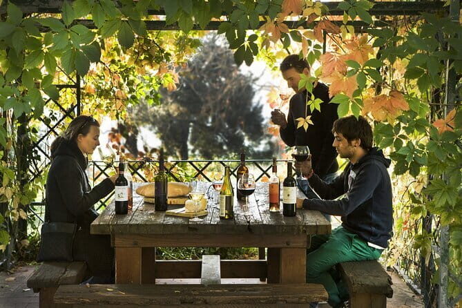 Exclusive Chianti Rufina Half Day Tour with Lunch from Florence - Exploring the Exclusive Chianti Rufina Half Day Tour with Lunch from Florence