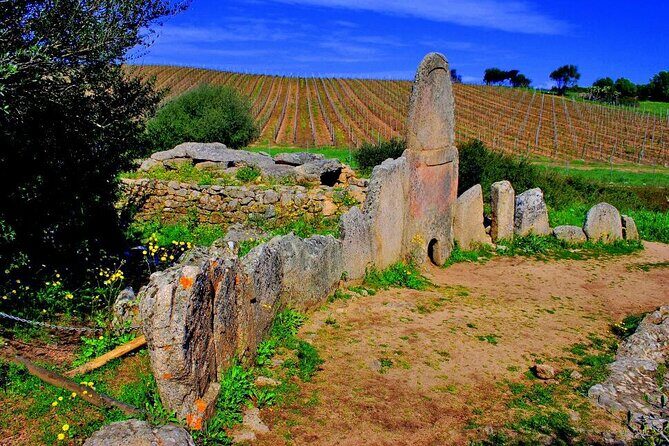 Exclusive Costa Smeralda Sightseeing Tour for 2/3 people - The Sum Up: Who Is This Tour Best For?