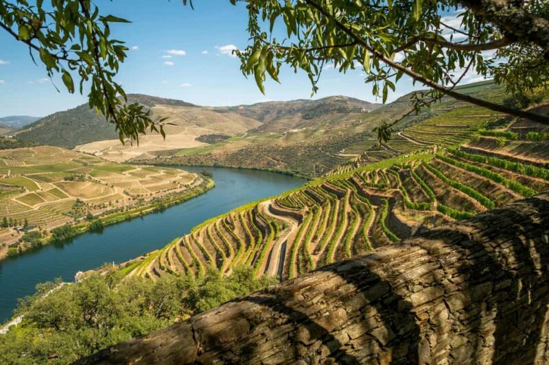 Exclusive Douro Valley: 3 Wineries, 9 Wine Tastings & Lunch - A Deep Dive into the Tour Experience