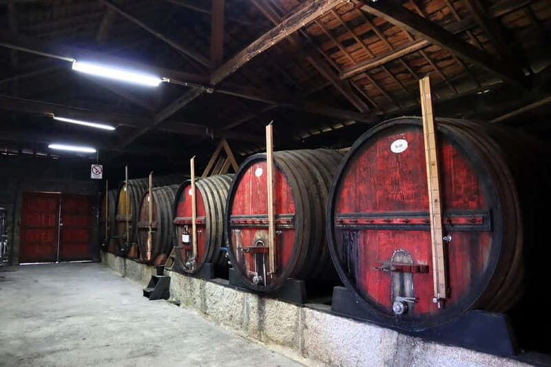 Exclusive Douro Valley: 3 Wineries, 9 Wine Tastings & Lunch - Authentic Insights from Reviewers