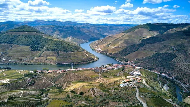 Exclusive Douro Valley: 3 Wineries, 9 Wine Tastings & Lunch - Final Thoughts