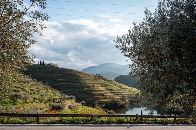 Exclusive Douro Valley: 3 Wineries, 9 Wine Tastings & Lunch - FAQ