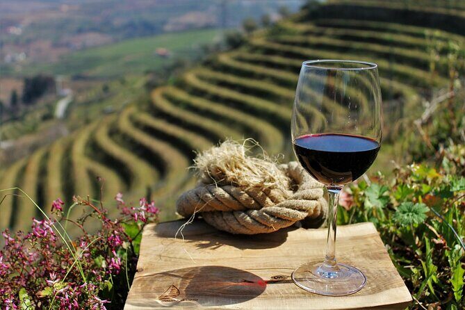 Exclusive Douro Valley: Visit 3 Wineries, 9 Wine Tastings & Lunch - Experience Quality and Authenticity