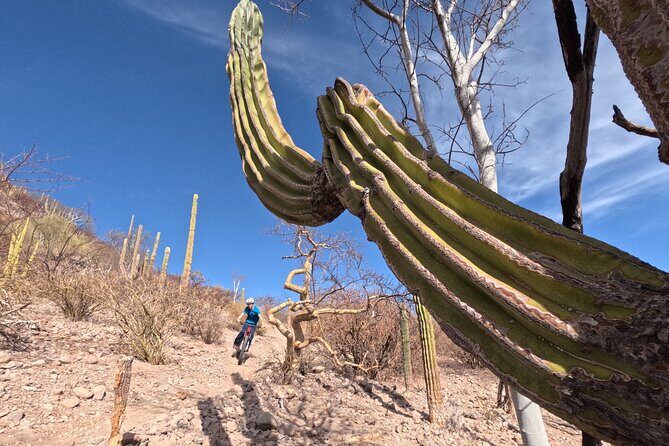 Exclusive Ebike Adventure in Nopolo National Park - What Travelers Say