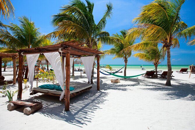 Exclusive Full Day Nature Expedition to Holbox Island - Discovering Holbox: A Natural Sanctuary