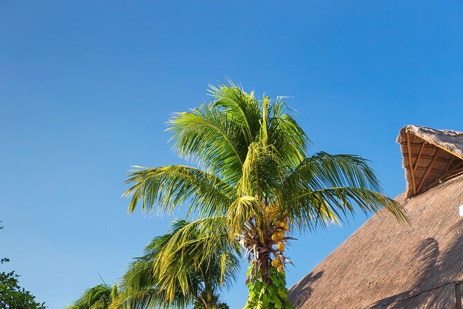 Exclusive Full Day Nature Expedition to Holbox Island - Final Thoughts