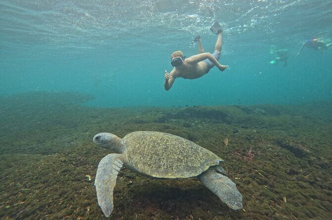 Exclusive Fullday Tour of San Agustín & 9 Bays of Huatulco (8 hr) - Key Points