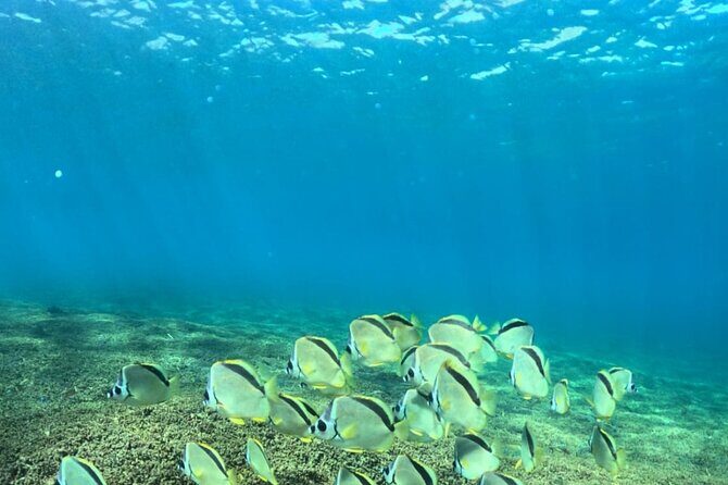 Exclusive Fullday Tour of San Agustín & 9 Bays of Huatulco (8 hr) - Conclusions: Is It Worth It?