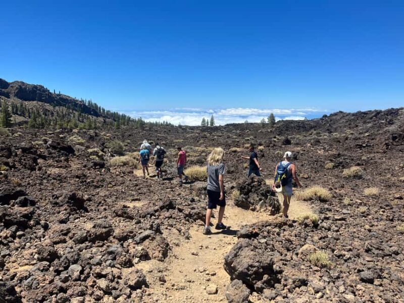 Exclusive hike on Mount Teide with a certified guide - Key Points