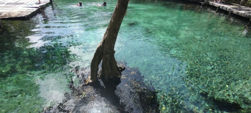 Exclusive Holbox: Yalahau, Punta Mosquito and Isla Pasion - FAQ