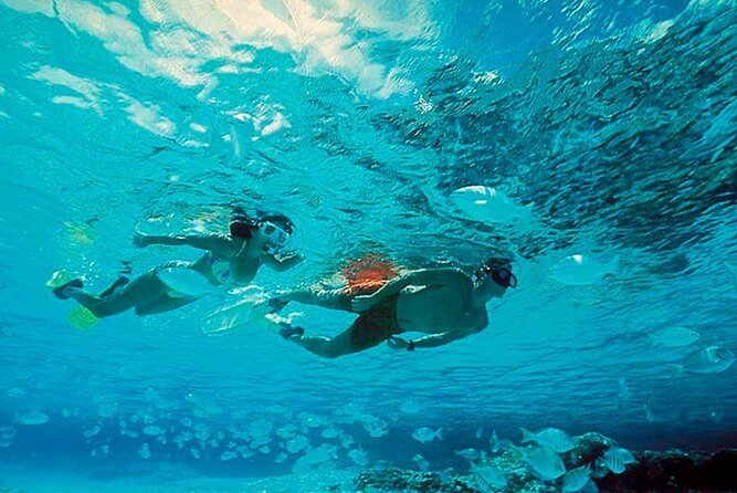 Exclusive Isla Mujeres Tour in Catamaran! Sailing from Cancun - A Detailed Look at the Experience