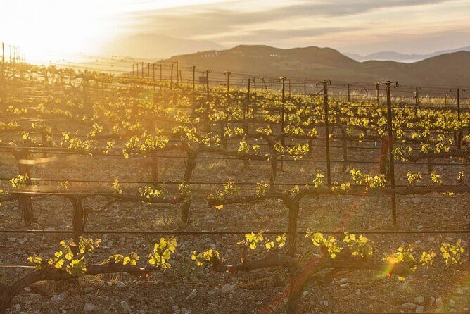 Exclusive Jeep Tour, South Crete, Winery, Donkeys, Secret Beach - Secret Beaches – Stena and Kaloi Limenes