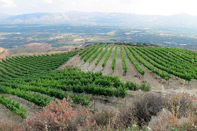 Exclusive Jeep Tour, South Crete, Winery, Donkeys, Secret Beach - Final Stop – Kaloi Limenes Village and Relaxation