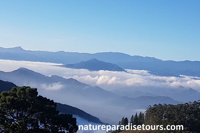 Exclusive knuckles Camping Tour from kandy - Key Points