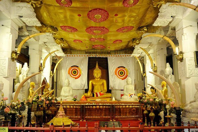 Exclusive : Last Kingdom Private Day Tour in Kandy - Frequently Asked Questions