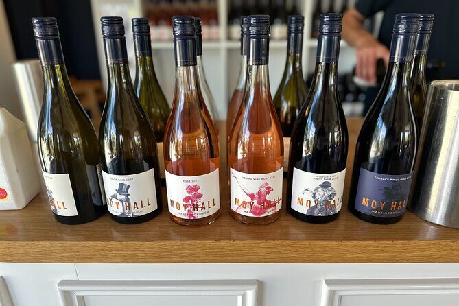 Exclusive Martinborough Wine Tour - Who Will Love This Tour?