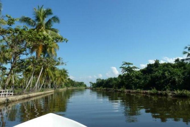Exclusive : Muthurajawela Bird Watching Tour - Muthurajawela Bird Watching Tour Review: An Authentic Wetland Experience in Sri Lanka