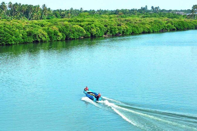 Exclusive : Muthurajawela Bird Watching Tour - Final Words