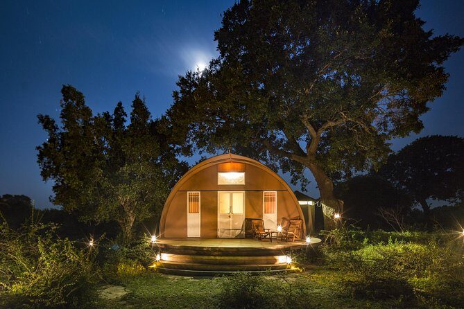 Exclusive : Overnight Leopard Safari with Luxury Glamping - The Safari Experience: Game Drives and Wildlife Encounters