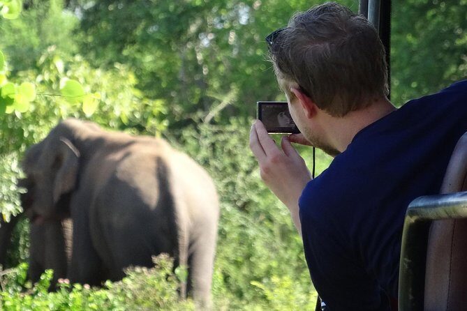 Exclusive : Overnight Leopard Safari with Luxury Glamping - Pricing and Value