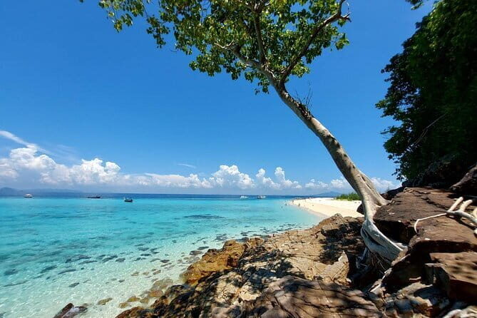 Exclusive Phi Phi and Bamboo Islands Private Tour - Who Will Love This Tour?