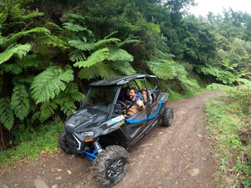 Exclusive Private Buggy Adventure: Forest and Mountains - An In-Depth Look at the Madeira Buggy Adventure