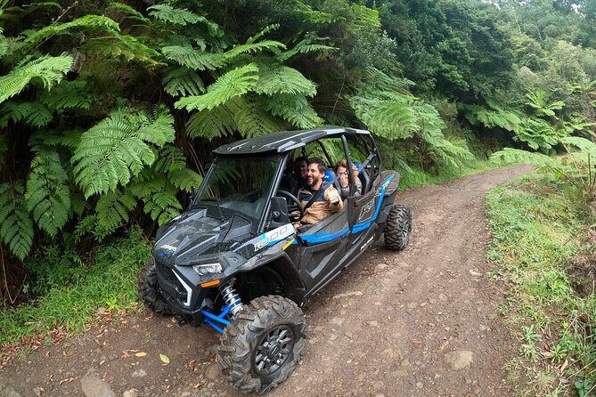Exclusive Private Buggy Adventure: Forest and Mountains - The Experience: What Makes It Special