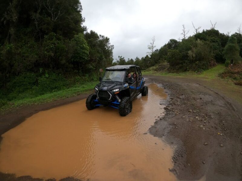Exclusive Private Buggy Adventure: Forest and Mountains - Key Points