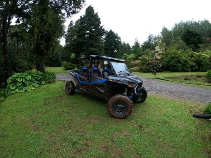 Exclusive Private Buggy Adventure: Forest and Mountains - An In-Depth Look at the Madeira Buggy Adventure